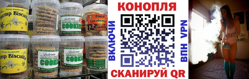 дарнет шоп  Куртамыш  Canna-Cookies марихуана 