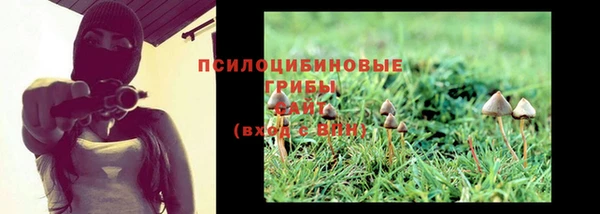 кристаллы Алзамай