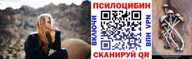 Псилоцибиновые грибы ЛСД  Куртамыш 
